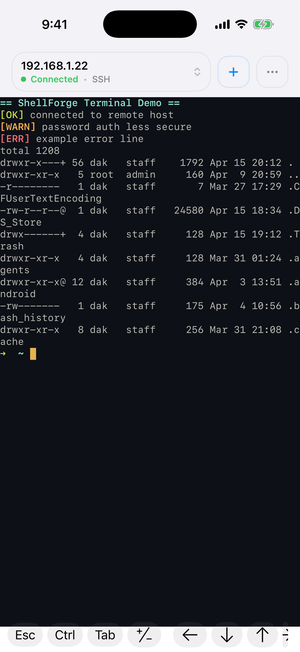 ShellForge — terminal themes rendering xterm-256 colors